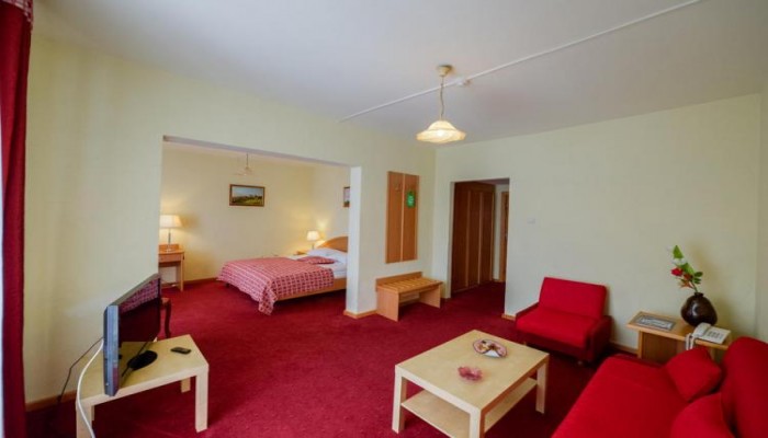 Hotel Belvedere poza 5