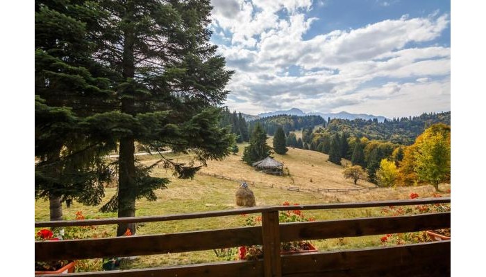 Hotel Cabana Poiana Secuilor poza 5