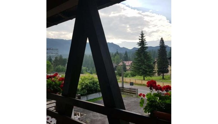 Hotel Casa Timis poza 9