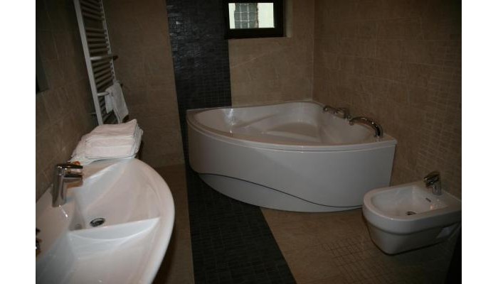 Hotel Casa Timis poza 8