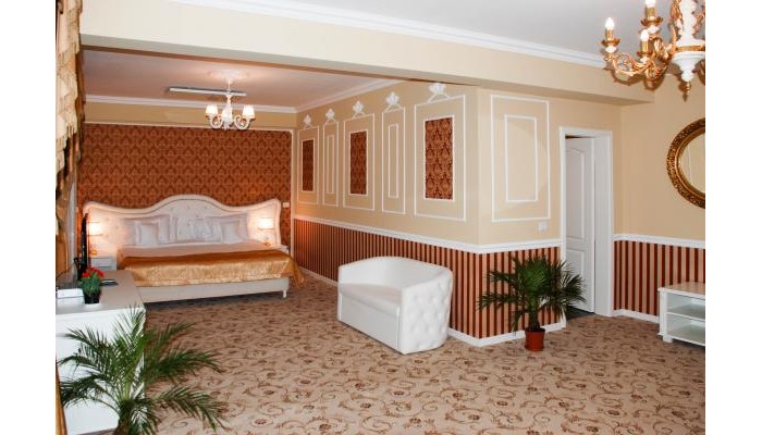 Hotel Conacul Din Ardeal poza 7