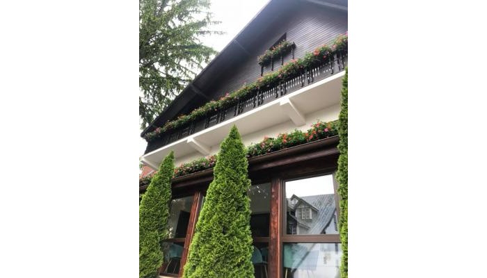 Hotel Vila Isabelle poza 2