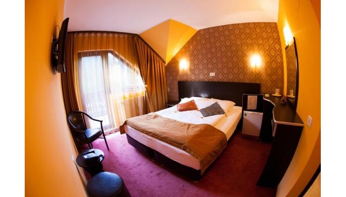 Pensiunea Carpatic poza 22