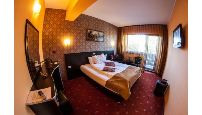 Pensiunea Carpatic poza 13