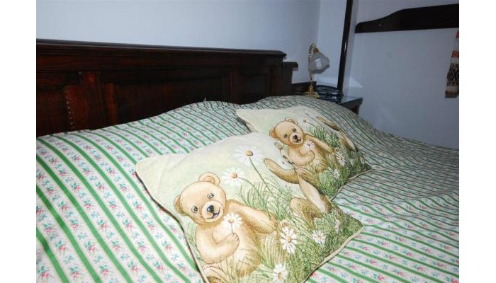 Pensiunea Casa Bradul poza 12