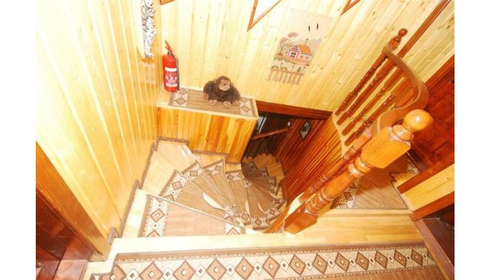 Pensiunea Casa Bradul poza 4