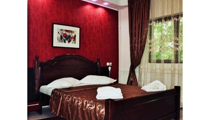 Pensiunea Drumetul poza 1