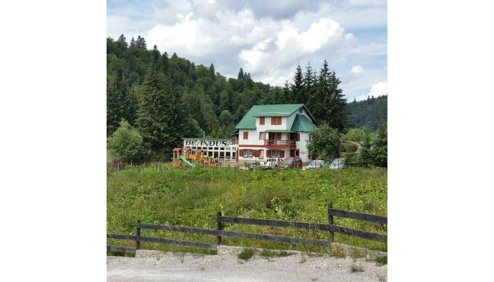 Vila Brandusa Predeal poza 2