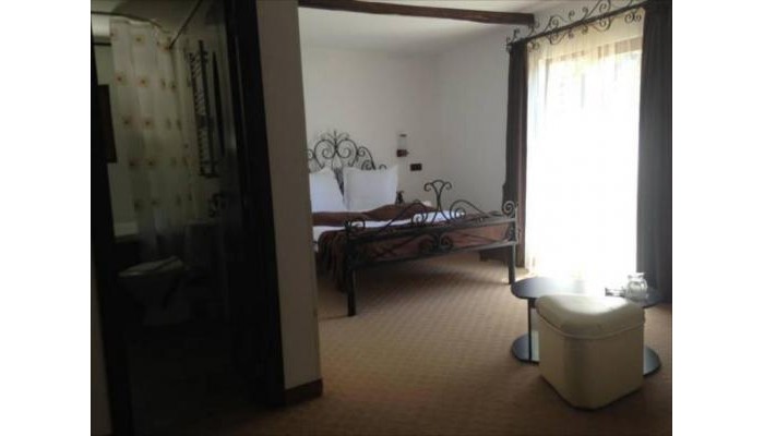 Hotel Cabana Haiducilor poza 8