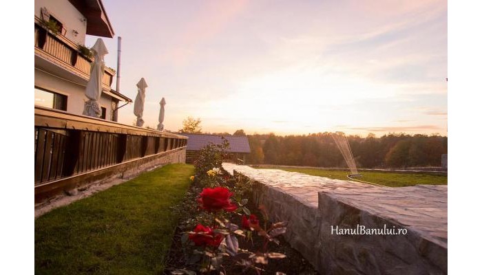 Hotel Hanul Banului poza 8