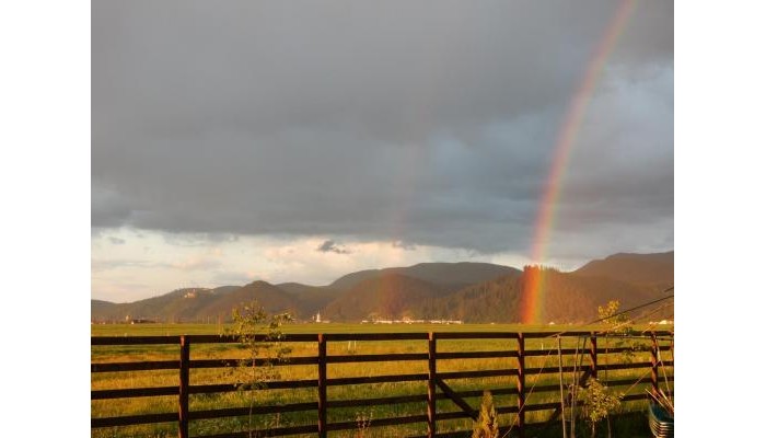 Pensiunea Cetatea Craiului poza 4