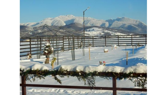 Pensiunea Cetatea Craiului poza 5