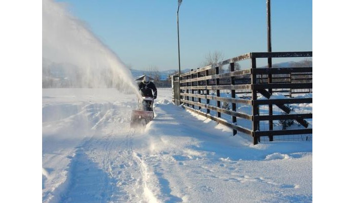 Pensiunea Cetatea Craiului poza 7