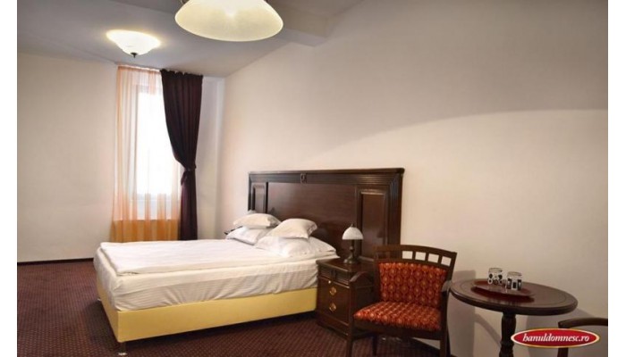 Hotel Hanul Domnesc poza 8