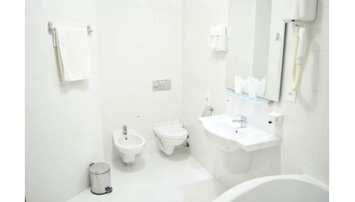 Hotel Dana Ii poza 2