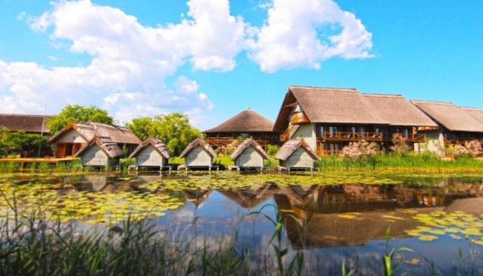 Green Village poza 0