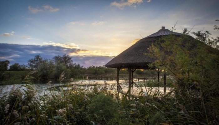 Green Village poza 6