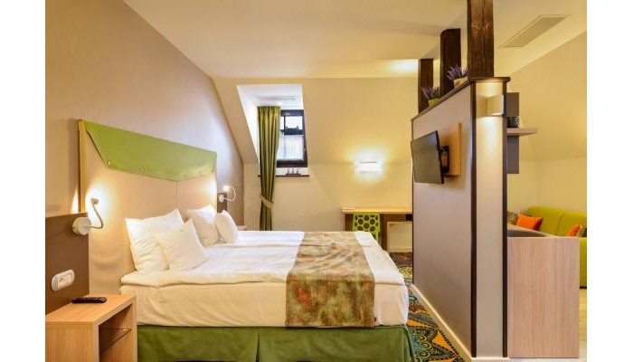 Hotel Blumenhaus Sibiu poza 5