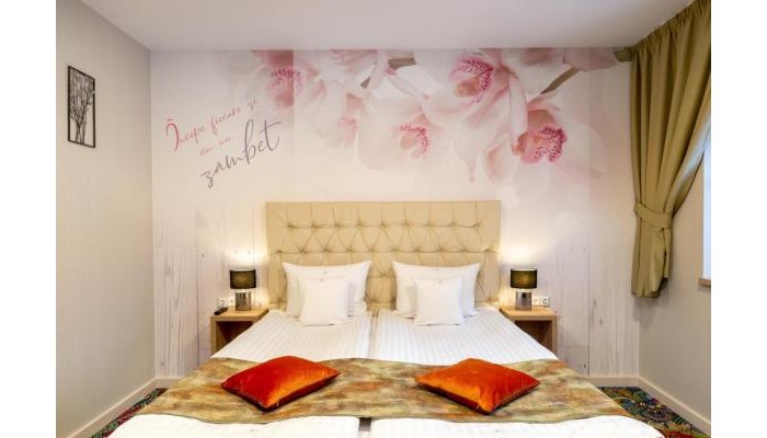 Hotel Blumenhaus Sibiu poza 26