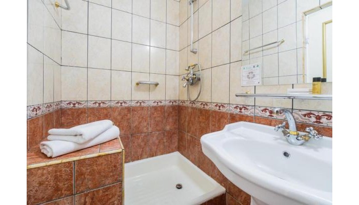 Hotel Imparatul Romanilor poza 10