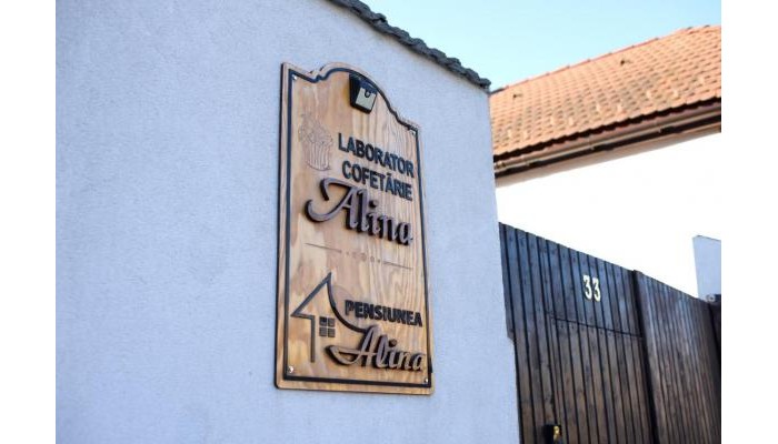 Pensiunea Alina poza 1