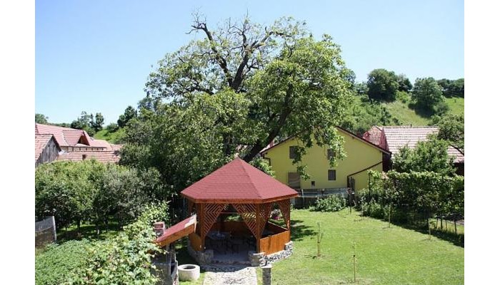 Pensiunea Bendorfeanu (13 Km From Sibiu) poza 10