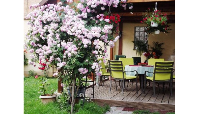 Pensiunea Fortuna poza 22