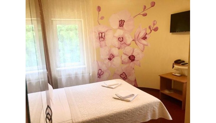 Pensiunea Ileana poza 1