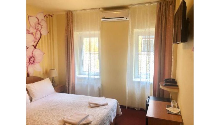 Pensiunea Ileana poza 2