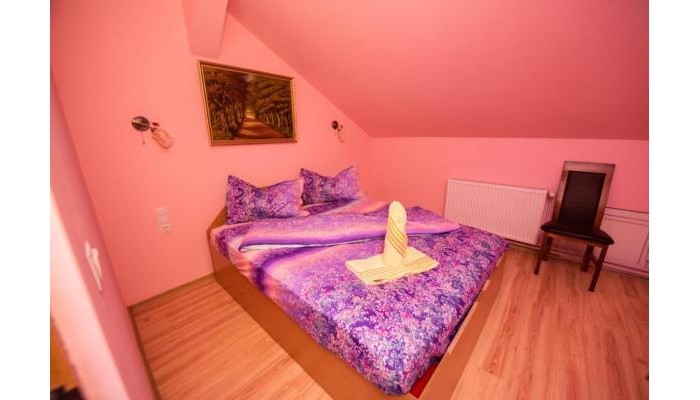 Pensiunea Tavisa poza 4