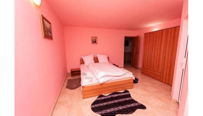 Pensiunea Tavisa poza 7