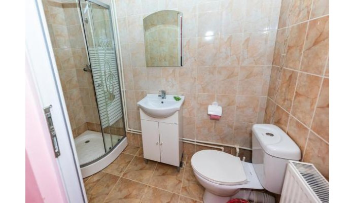 Pensiunea Tavisa poza 10