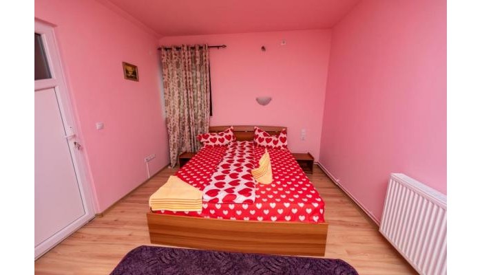 Pensiunea Tavisa poza 11