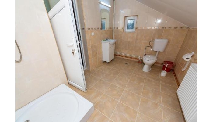 Pensiunea Tavisa poza 14