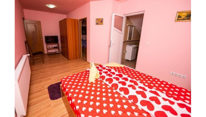 Pensiunea Tavisa poza 12