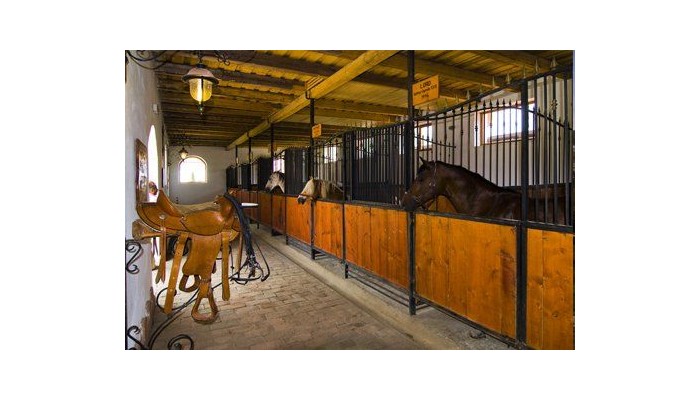 Hotel Domeniul Dracula Danes poza 1