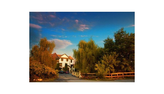 Hotel Domeniul Dracula Danes poza 0