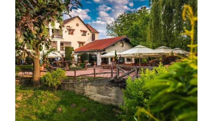 Hotel Domeniul Dracula Danes poza 7