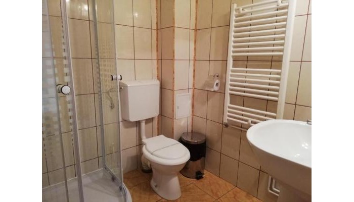 Pensiunea Casa Sighisoreana poza 7