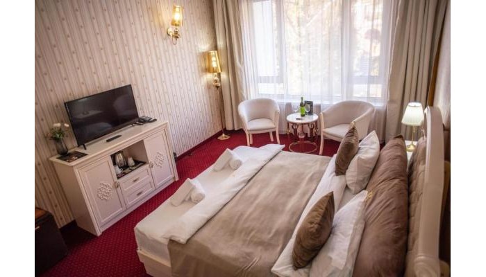 Hotel Carpathia poza 7