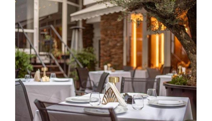 Hotel Carpathia poza 17