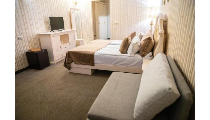 Hotel Carpathia poza 6