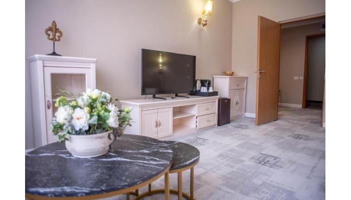Hotel Carpathia poza 10