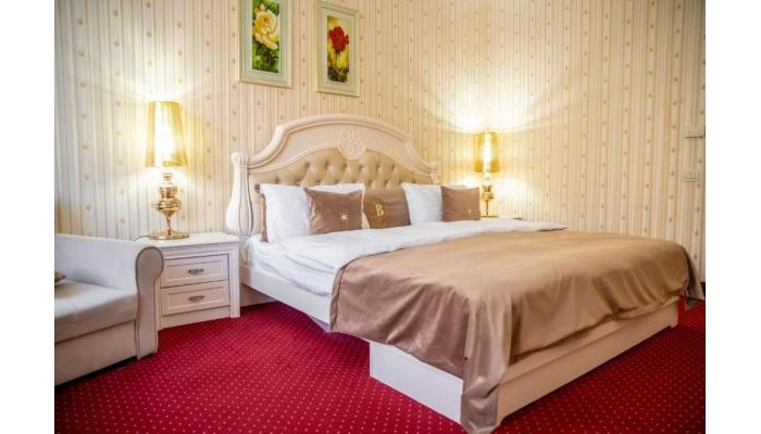 Hotel Carpathia poza 4