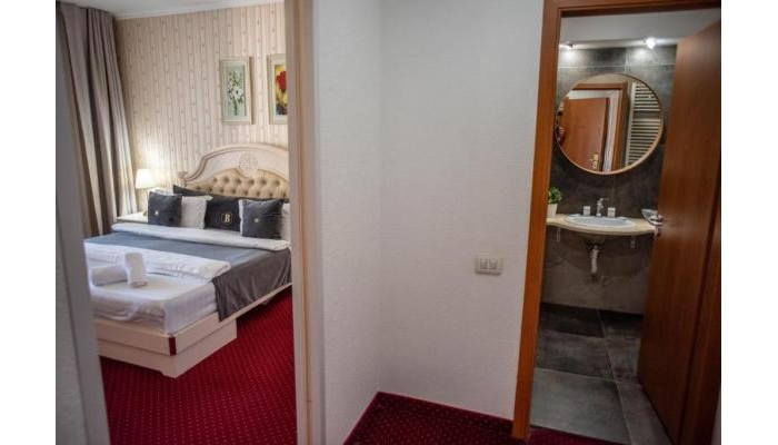 Hotel Carpathia poza 11