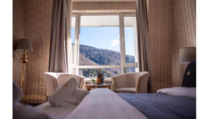 Hotel Carpathia poza 5