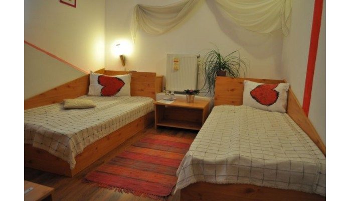 Hotel Pension La Teleferic poza 5