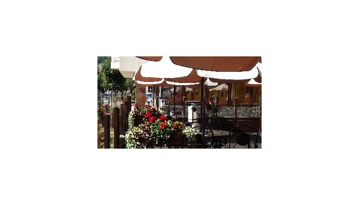 Anda Hotel Sinaia poza 5