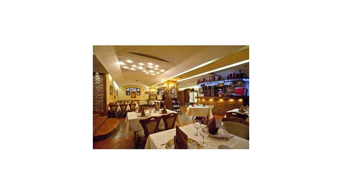 Anda Hotel Sinaia poza 4