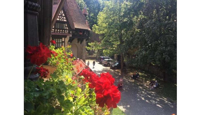 Complex La Tunuri - Vila Economat poza 7